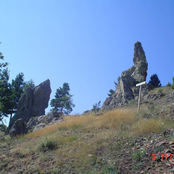 foto2-copia